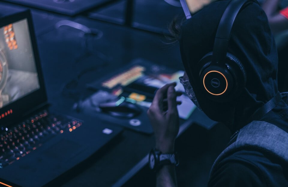 Uma anomalia genética pode conferir inteligência a polvos e lulas.